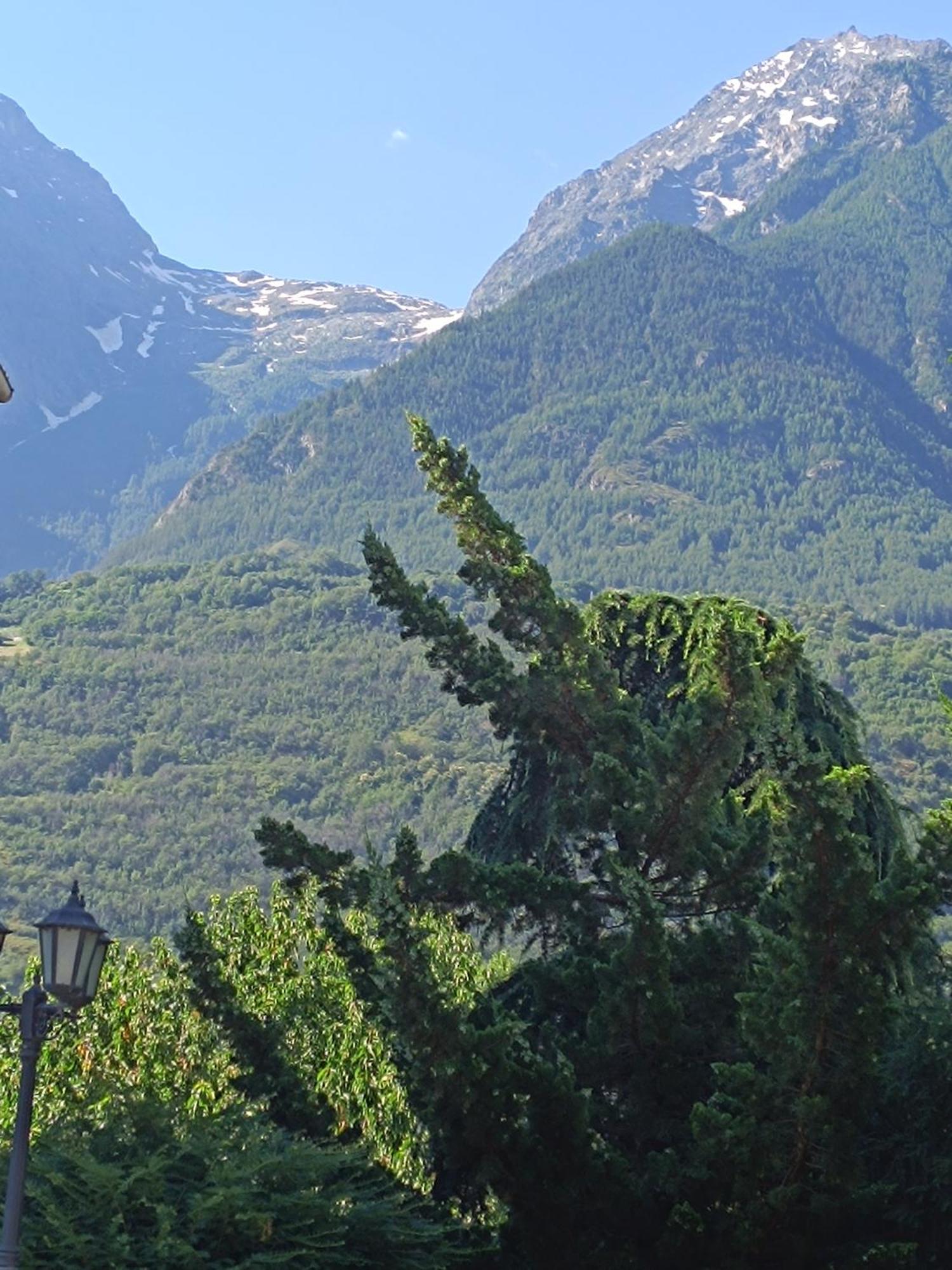 La Grolla Daire Aosta Dış mekan fotoğraf